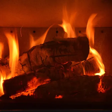 Spacious Wellness Stay, Villa